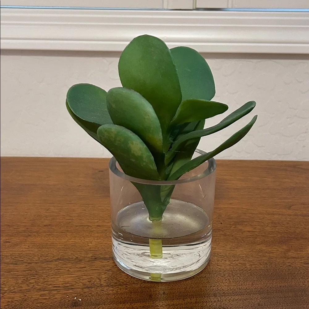 Green Artificial Plant in Clear Glass Vase